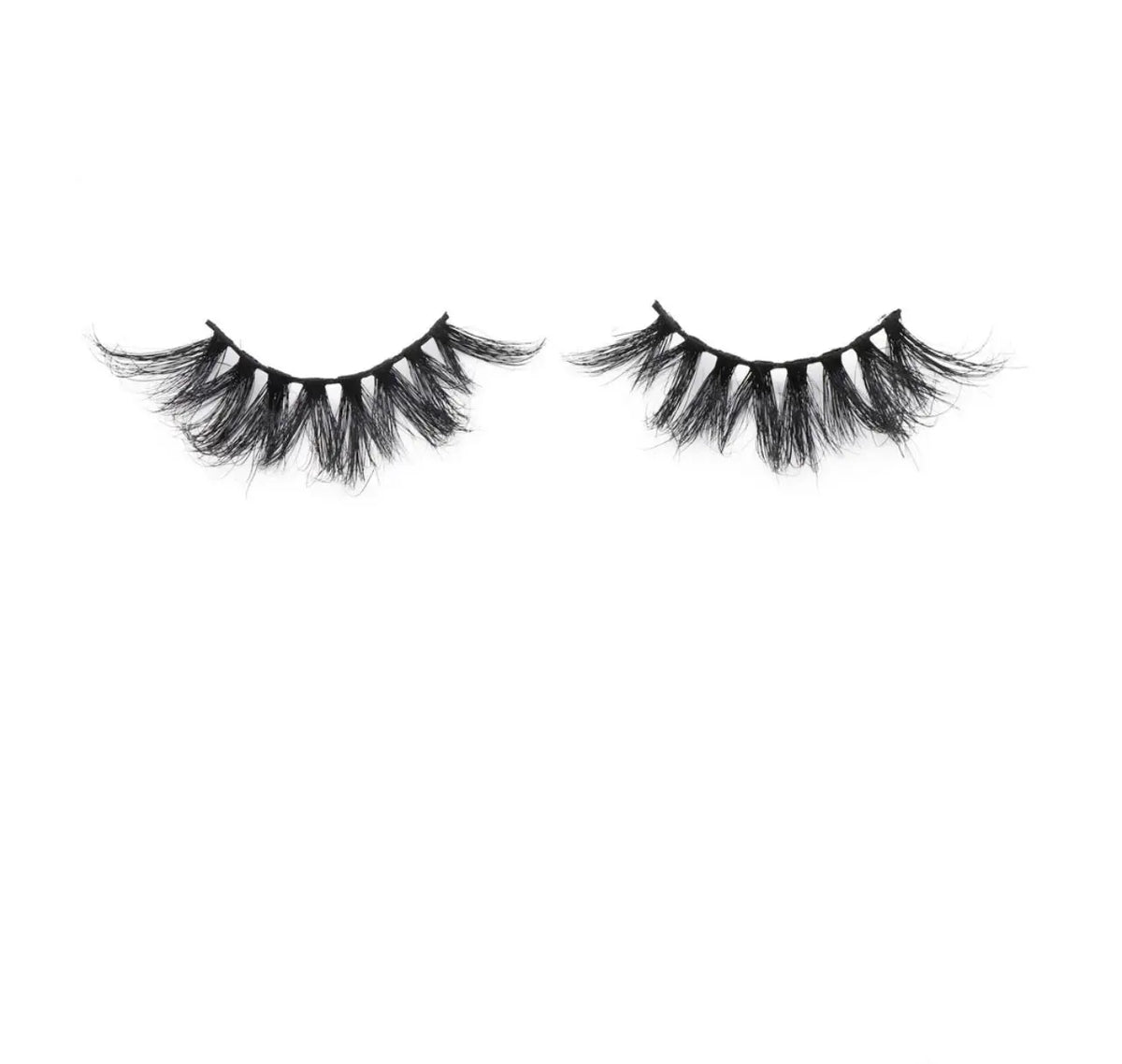 Gucci Lash