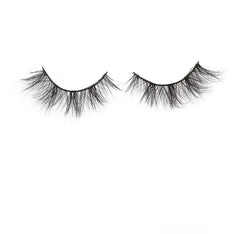 Dalia Lash - Couture Coiffure 