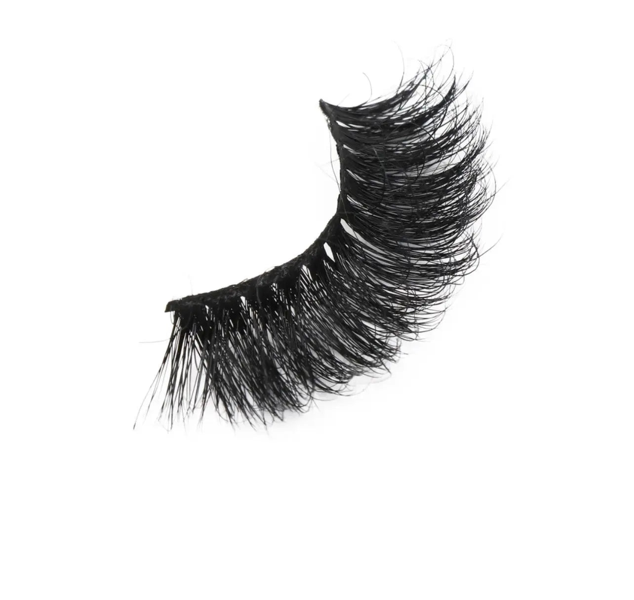  Prada Lash