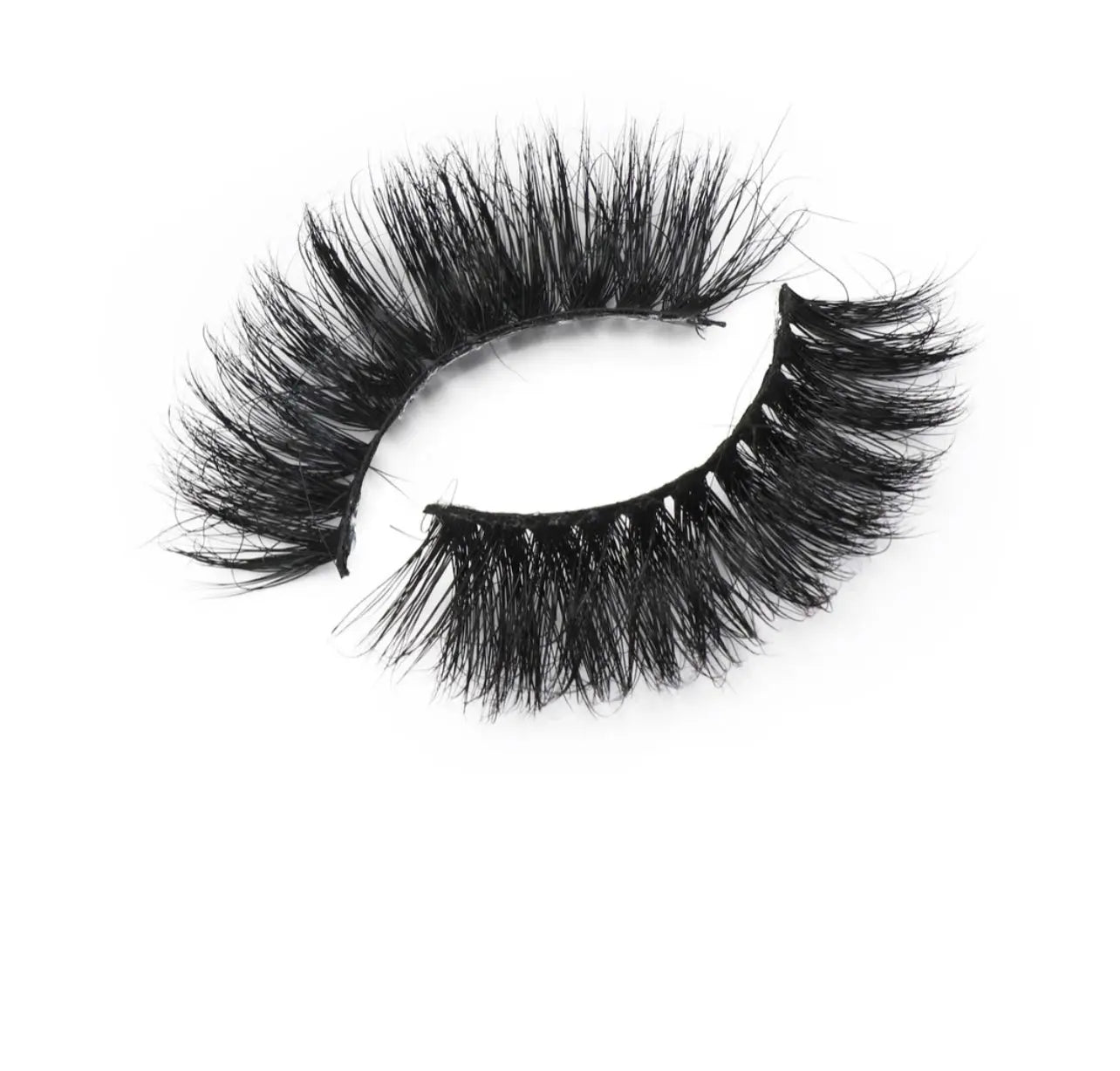  Prada Lash